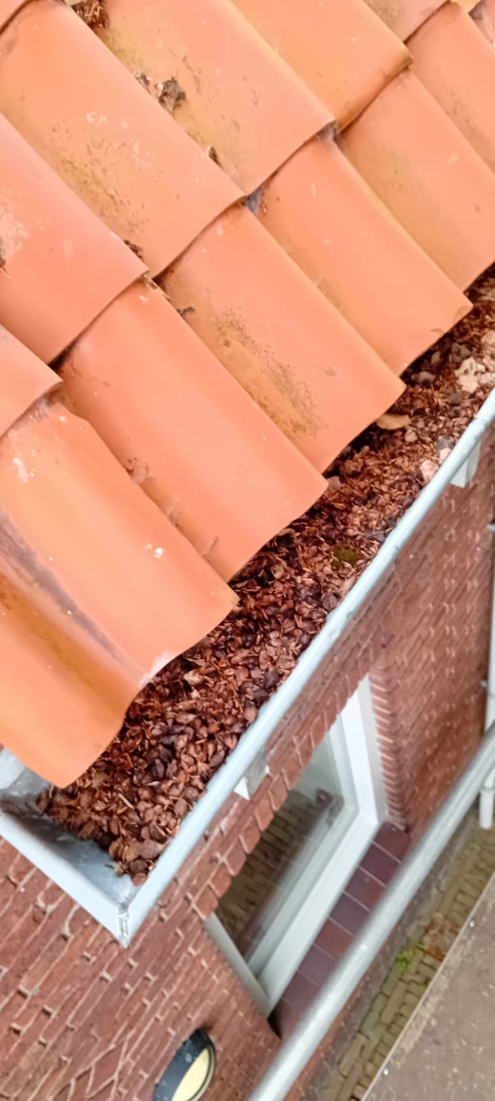 Dakgoot reparatie Bovenkarspel